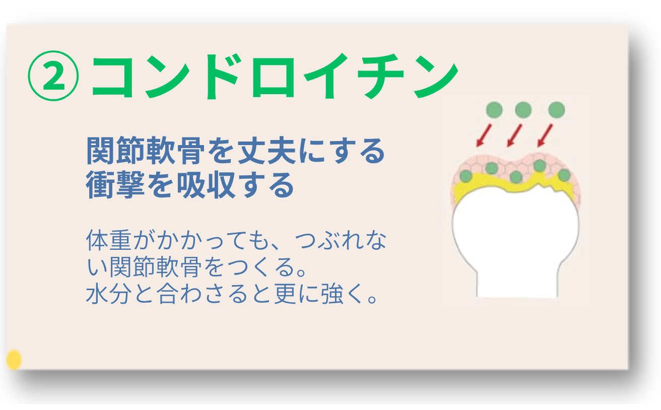 コンドロイチン