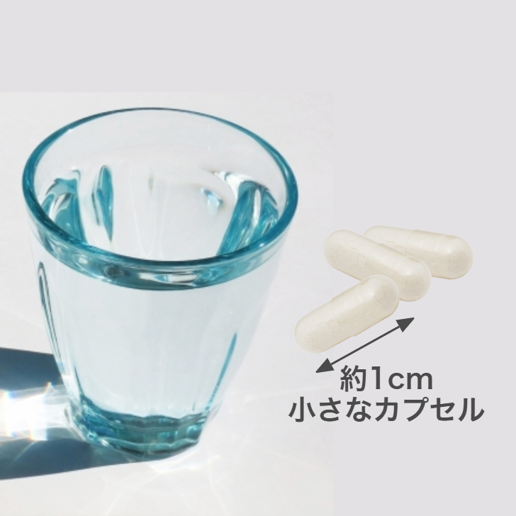 飲みやすいカプセルのイメージ