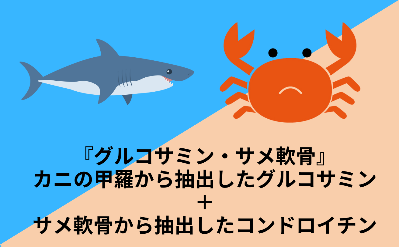 グルコサミン・サメ軟骨スーパープレミアム（錠剤／約1ヵ月分／240粒